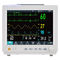 Machine van de Impulsoximeter van de het ziekenhuisicu de Geduldige Monitor 12,1 Duim Één Jaargarantie