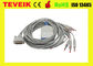 Schillerecg kabel met geïntegreerde 10 leadwiresbanaan 4,0 AHA-electrocardiogramkabel